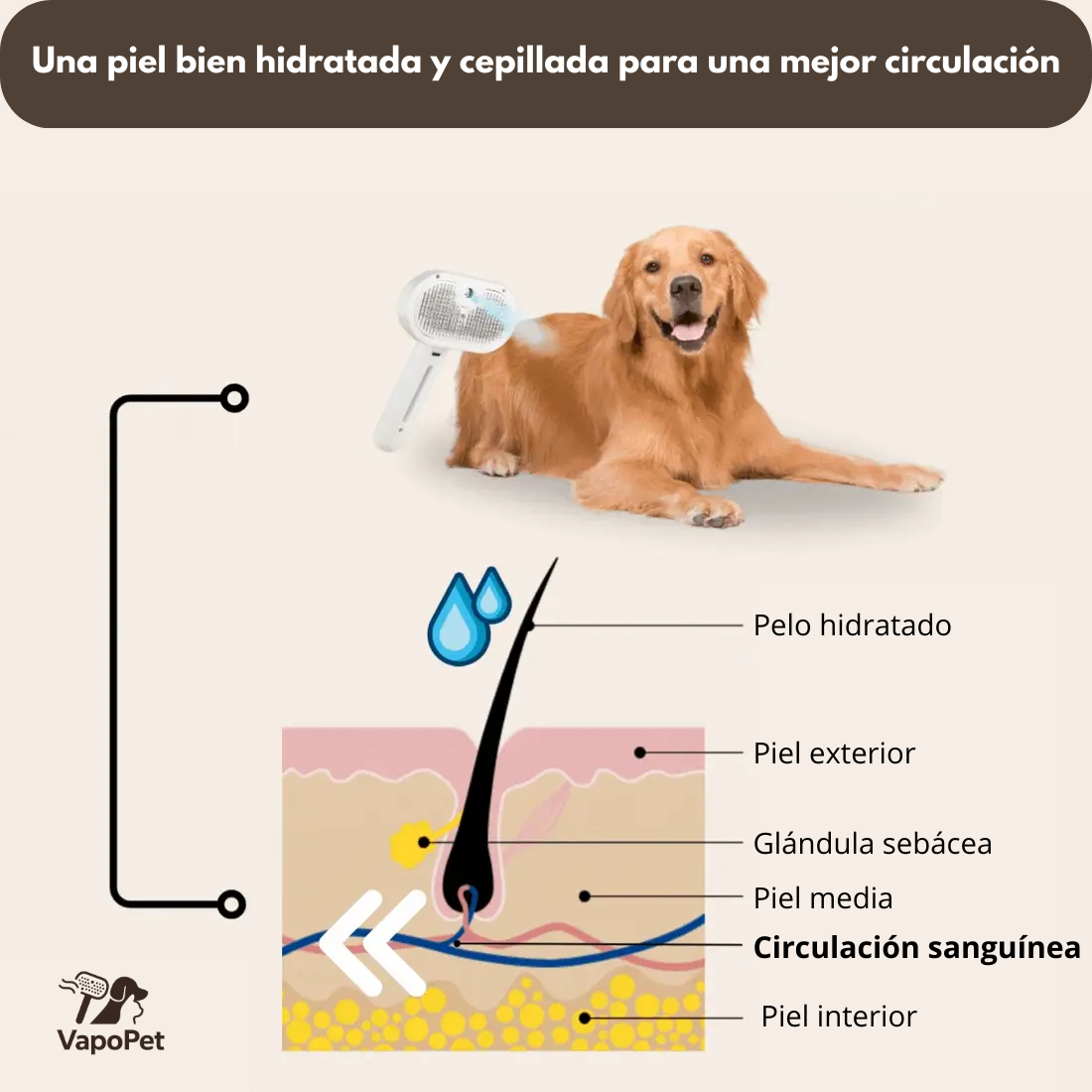 VapoPet™ - Cepillo Profesional para el cuidado de tus Mascotas